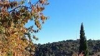 19 de Octubre: XXIX Domingo del Tiempo Ordinario