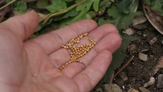 El don de la fe y de la misión encomendada