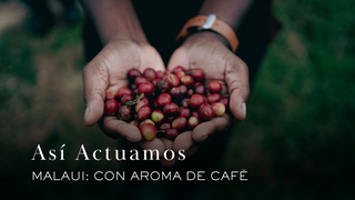 Granja Chipunga, Malaui