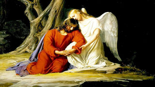 Los Ángeles Custodios. (Solícitos guardaespaldas, siempre a nuestro lado)