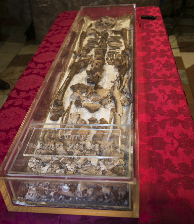 Restos de San Francisco de Asís