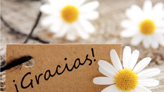 Vida agradecida