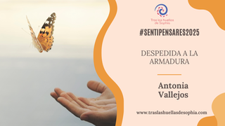 Despedida a la armadura