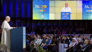 Discurso de León XIV en la FAO