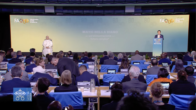 El director general de la FAO, con el papa León XIV