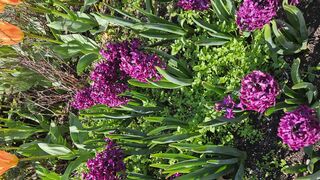 2 de Noviembre: Conmemoración de Todos los Difuntos