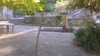 9 de Noviembre: XXXII Domingo del Tiempo Ordinario