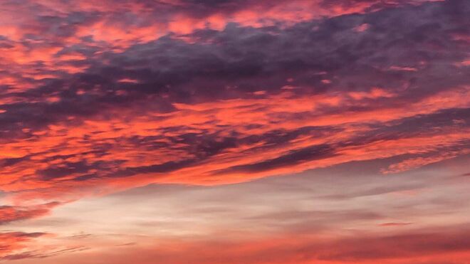 16 de Noviembre: XXXIII Domingo del Tiempo Ordinario