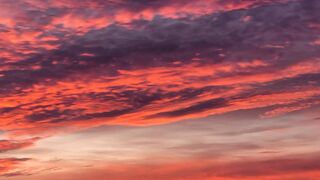 16 de Noviembre: XXXIII Domingo del Tiempo Ordinario