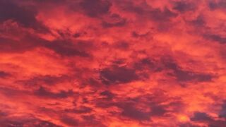 26 de octubre: XXX Domingo del Tiempo Ordinario