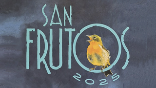 Fiesta de San Frutos