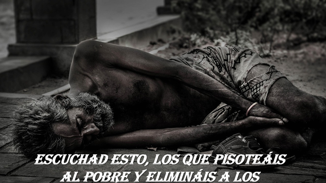 el Profeta Amós
