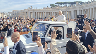 Papa León en una audiencia