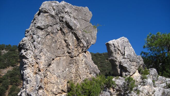 I Jueves de Adviento