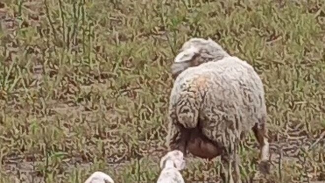 I Sábado de Adviento