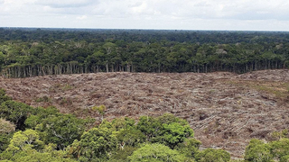 Deforestación en la Amazonía