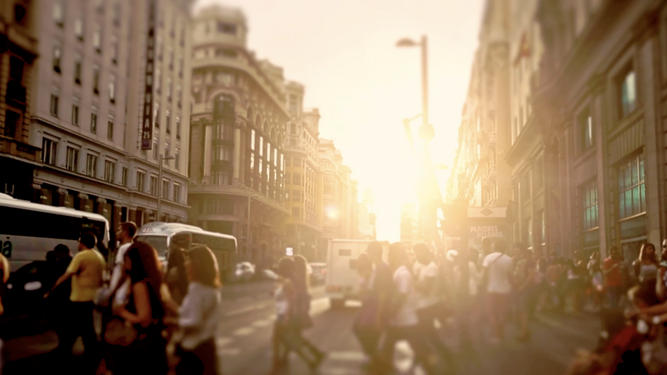 Día de la Iglesia Diocesana 2025