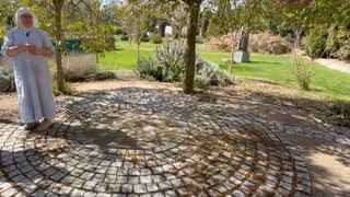 'Un árbol para quedarse': la última ocurrencia, antes del desahucio, de las ex monjas cismáticas de Belorado