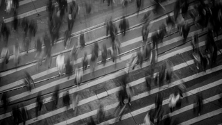 Miembros de una misma familia