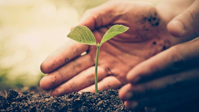 Educar en la esperanza