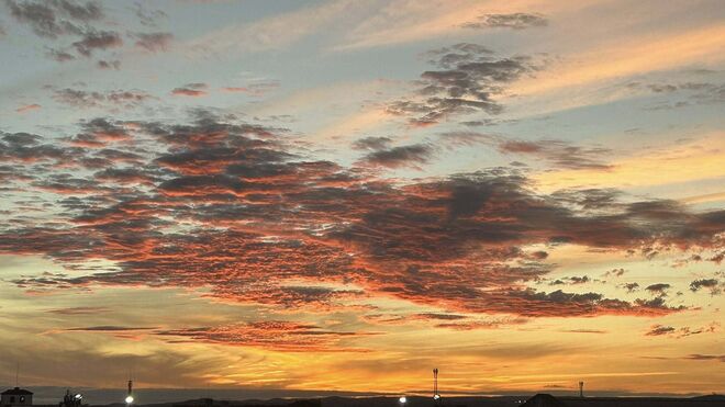 COP30: Ecología y conversión integral