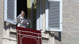 El Papa ,en el ángelus