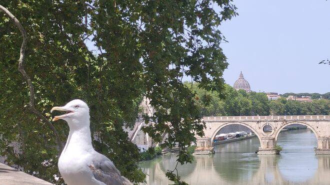 Jesús Cabello y Gema Martín,  dos ejemplos más del don de la música al servicio del Reino