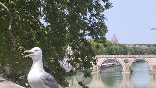 Jesús Cabello y Gema Martín,  dos ejemplos más del don de la música al servicio del Reino