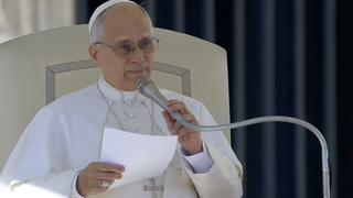 El Papa, durante su catequesis