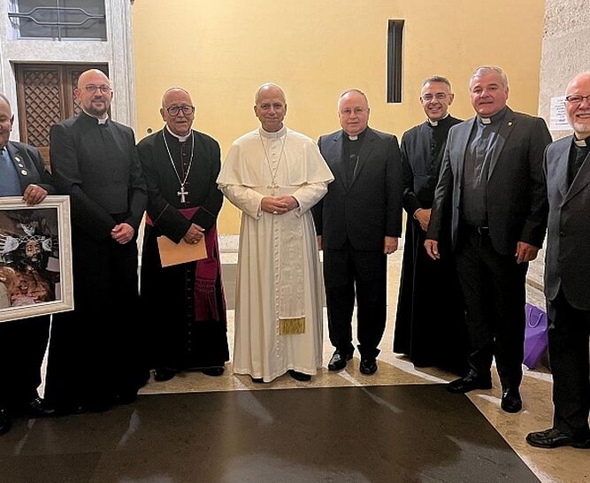 Audiencia con León XIV