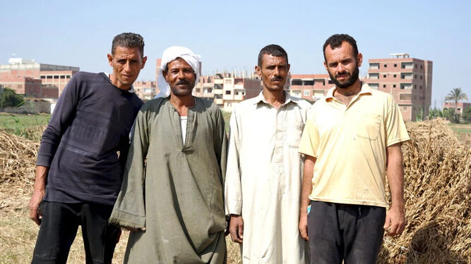 Cuatro agricultores de la región de Sharqeya, cerca de El Cairo, que venden sus productos orgánicos a SEKEM, contribuyendo a una creciente red de pequeños agricultores comprometidos con la agricultura sostenibl