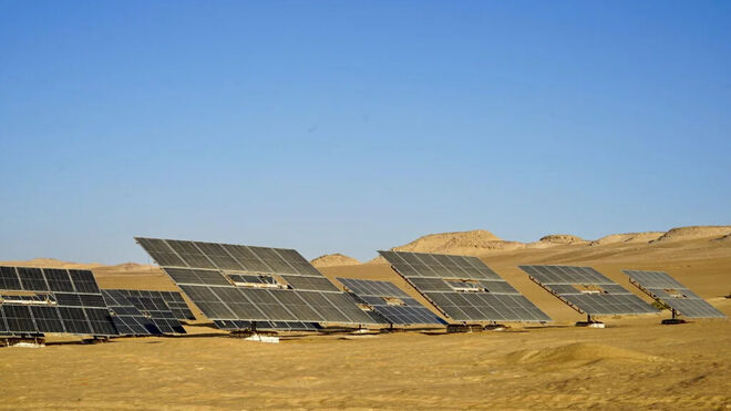 Paneles solares en el Proyecto de Wahat de SEKEM, que impulsan la agricultura sostenible en el corazón del desierto