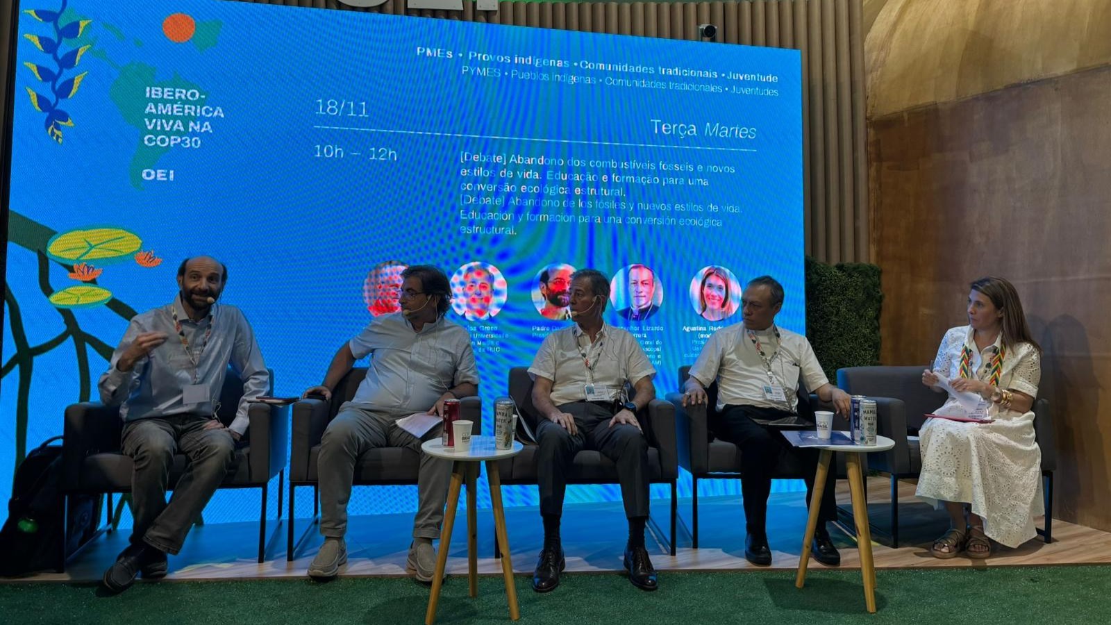 Panel Educación COP