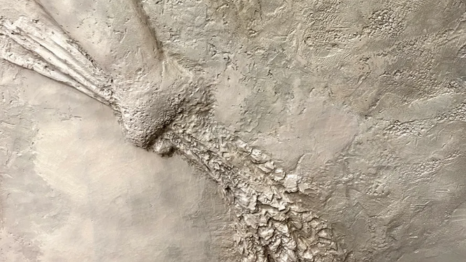 Detalle de una de las puertas