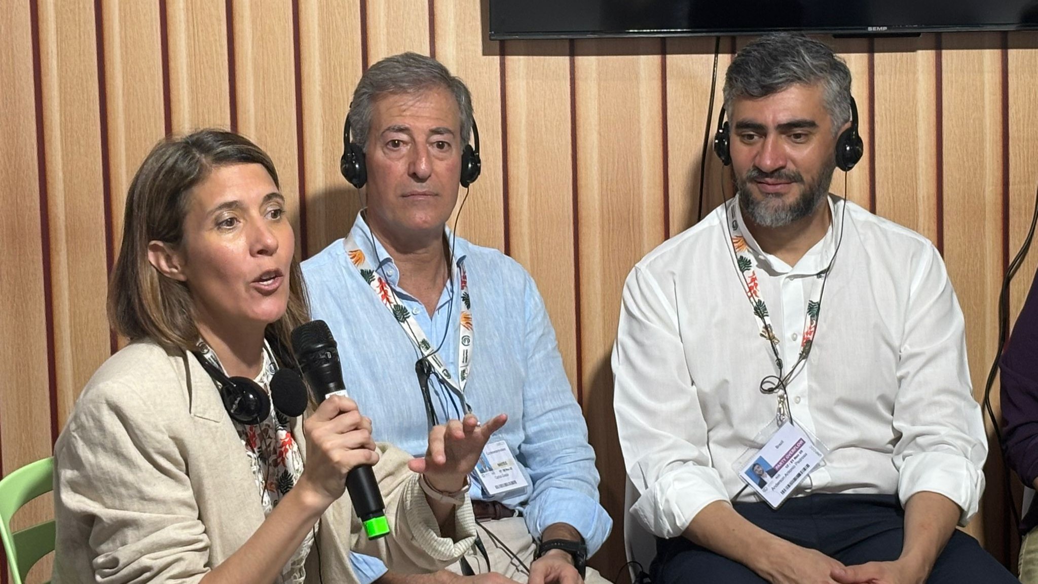 Rodríguez Saa, Greco, Pedroso