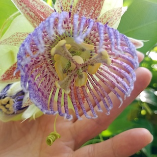 WhatsApp Image 2025-11-16 at 11.16.31 AM