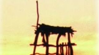 En nuestro presente, nuestra vida debe testimoniar lo que esperamos