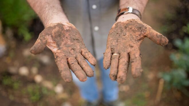 La revolución de la coherencia