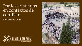 León XIV: "Los cristianos que viven en medio de las  guerras deben ser semillas de paz"