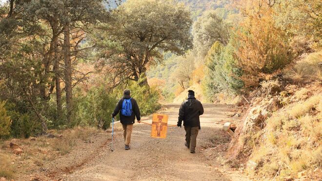 10 diciembre: II Miércoles de Adviento