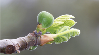 Los signos de los tiempos