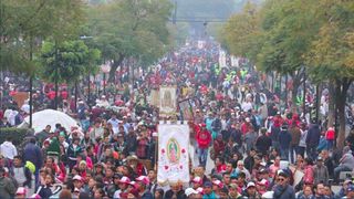 “Virgen de Guadalupe un punto de encuentro cuando las divisiones parecen irreparables”: Arquidiócesis Primada de México