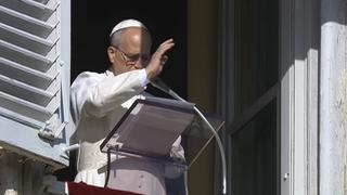 El Papa en el ángelus