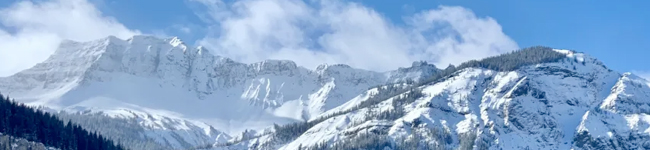 bach-whittaker-preludio-bwv740